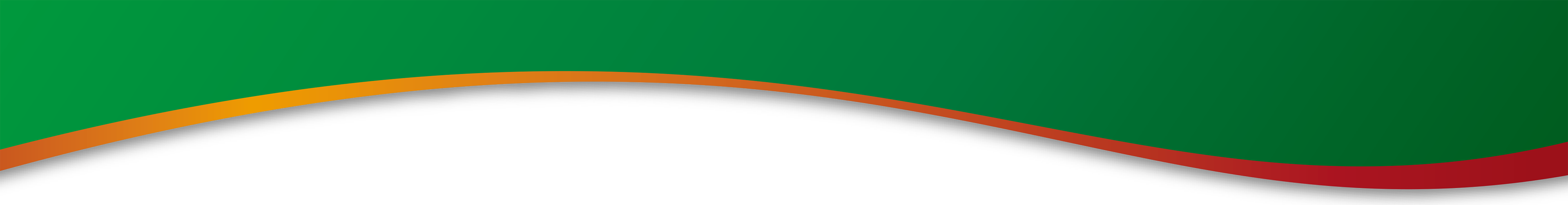 Health Plan - Life, Health and Critical Illness